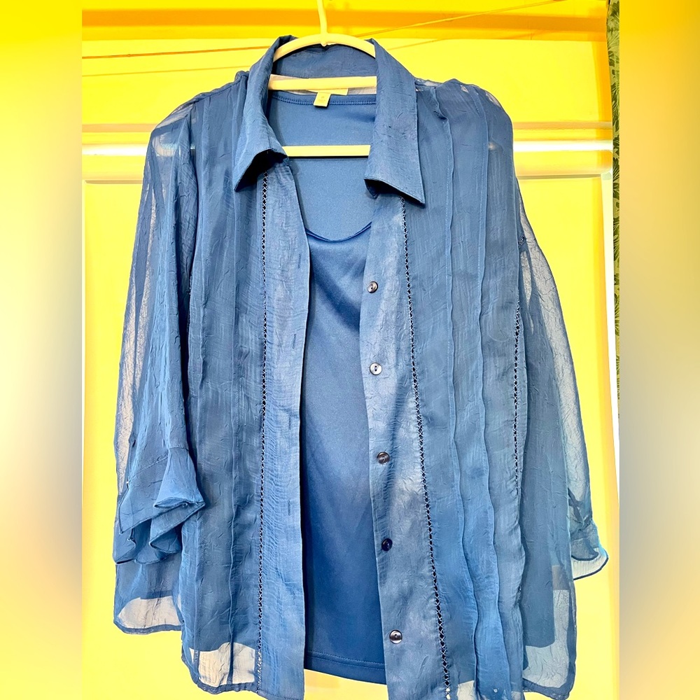 Dressy Sheer Blouse